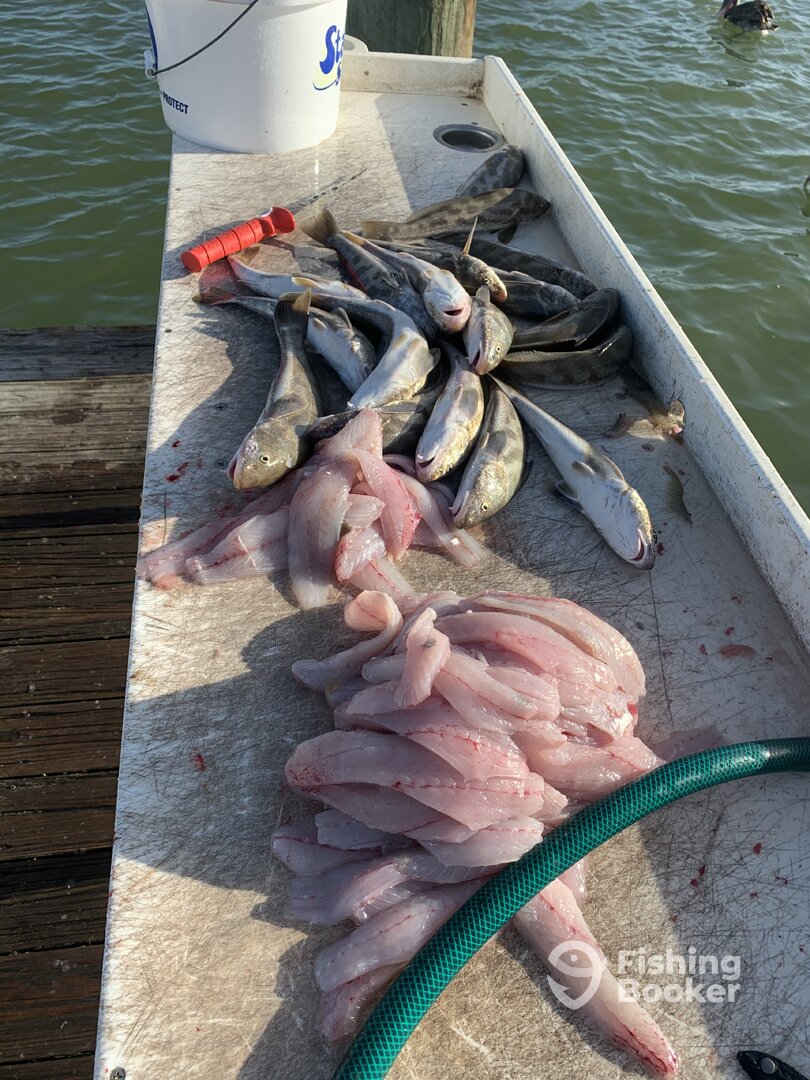 Marco Island Report Photo 0