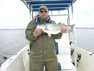 Gordonville Report Photo 2