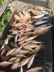 Non stop winter full day action 