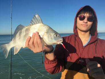 Longboat Key Report Photo 2