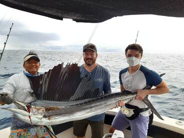 Sailfish Caught and released