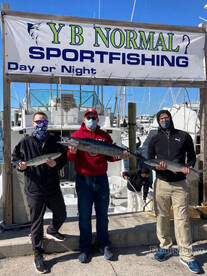 Dania Beach Report Photo 2