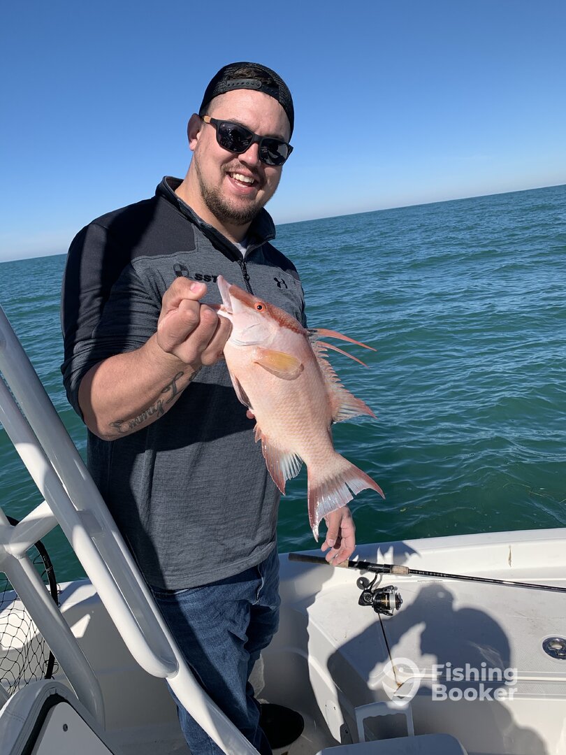 Clearwater Report Photo 0