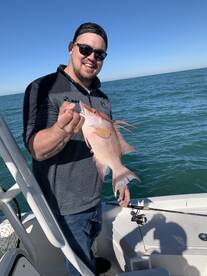Tripletail action!
