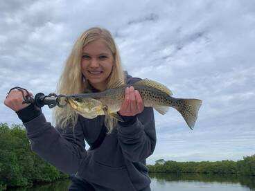 Snook and more snook