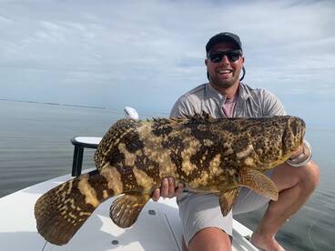 Goliath grouper bite has been on fire in