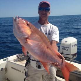 Snapper bite