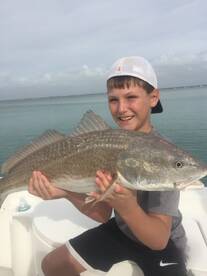 Sarasota Report Photo 2