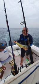 Panama City Report Photo 1