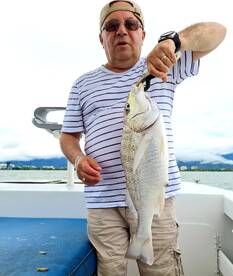 Cairns Report Photo 2