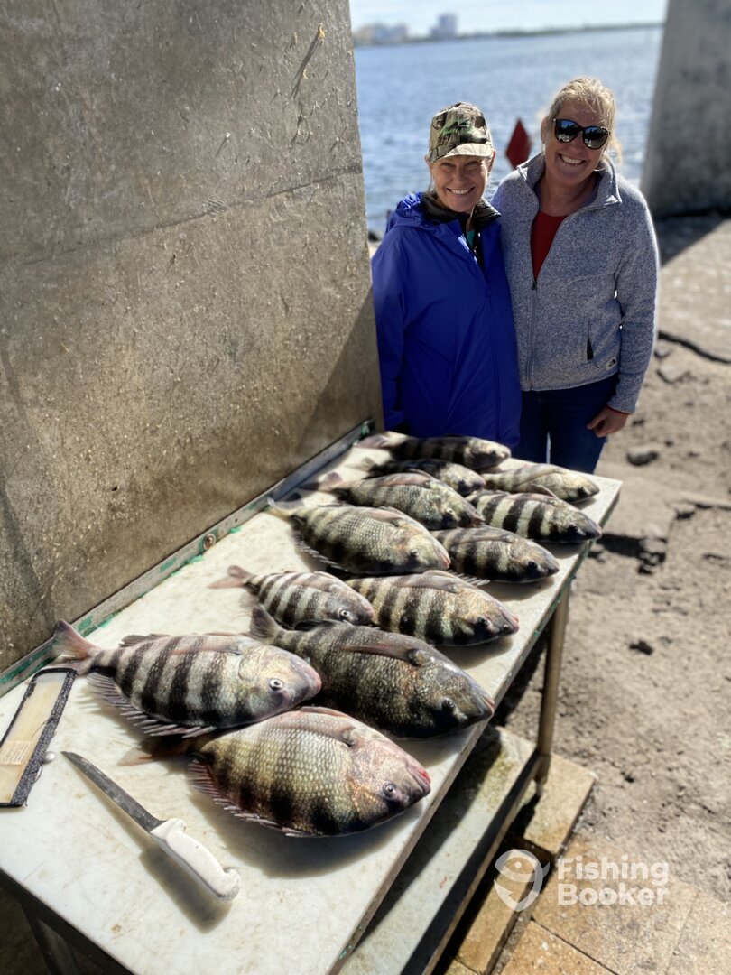 Port Orange Report Photo 0
