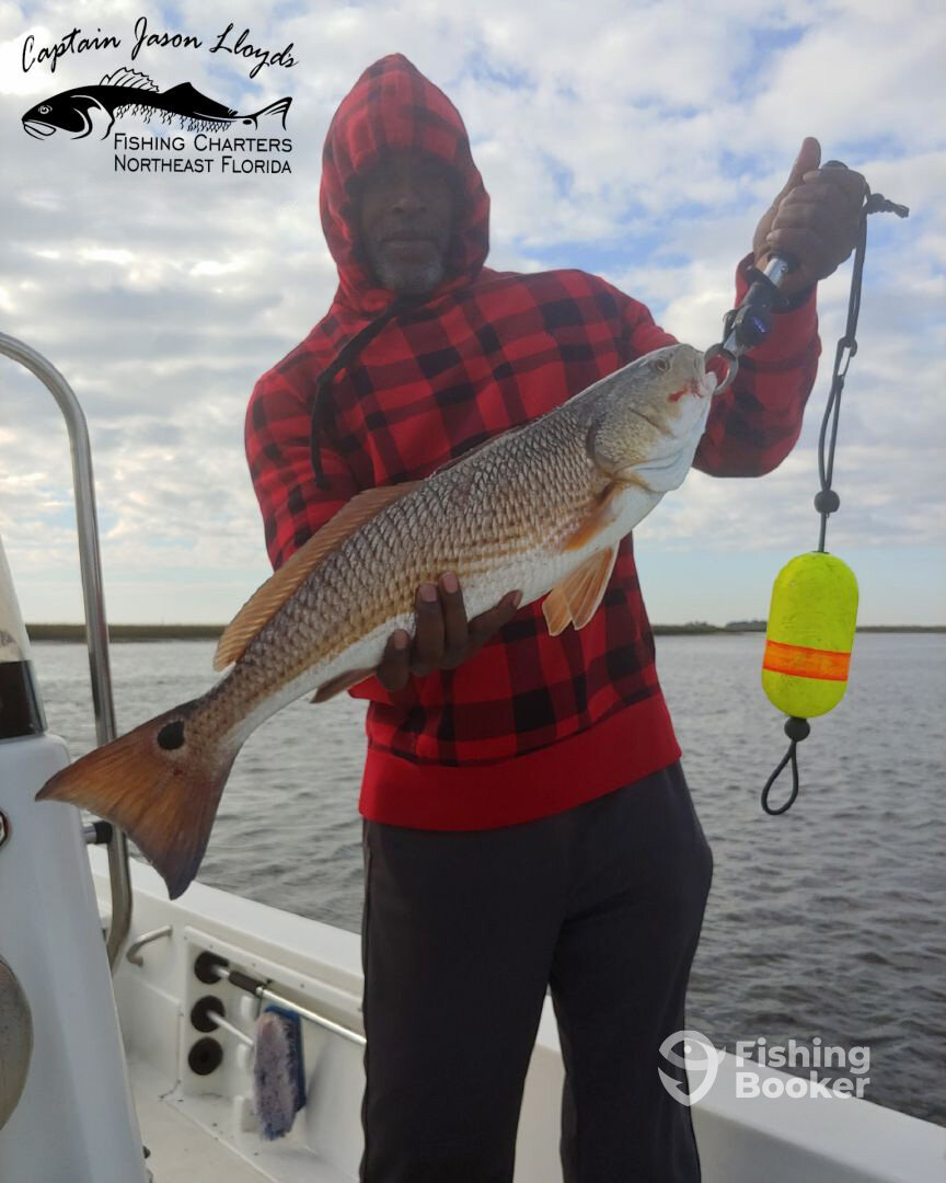 Jacksonville Report Photo 0