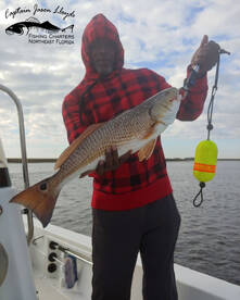 Redfish Bite Is On Fire!!