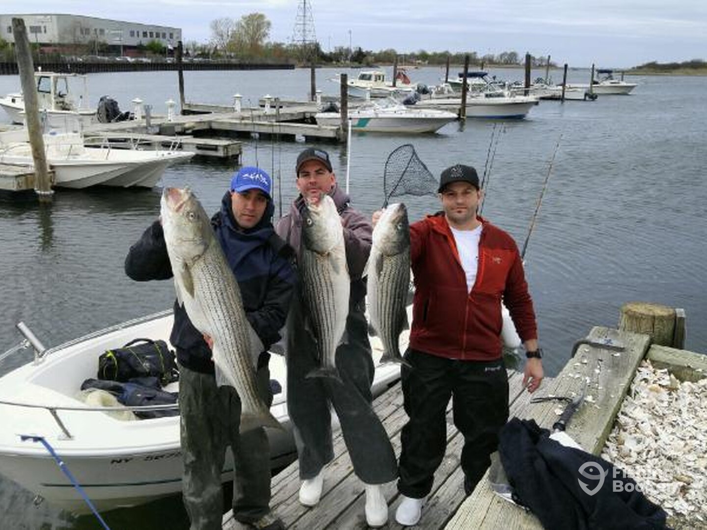 Mastic Report Photo 0
