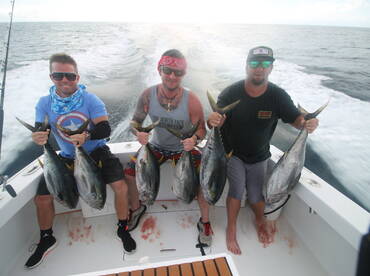 Quepos Report Photo 2