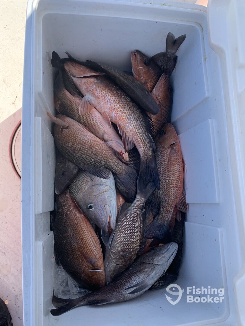 Clearwater Report Photo 0