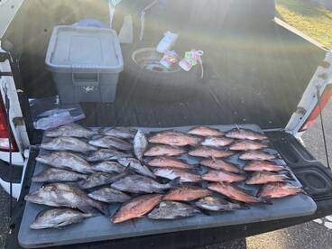 Clearwater Report Photo 1