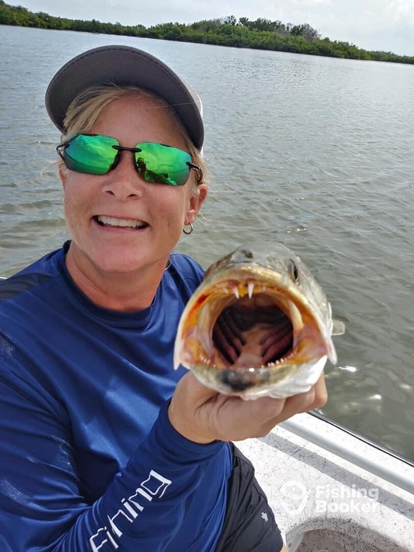 New Smyrna Beach Report Photo 0