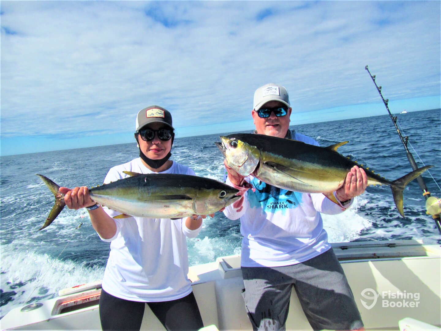 Cabo San Lucas Report Photo 0