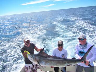 Cabo San Lucas Report Photo 2