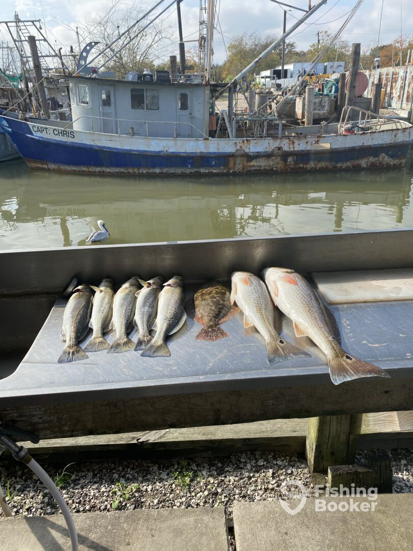 Galveston Report Photo 0