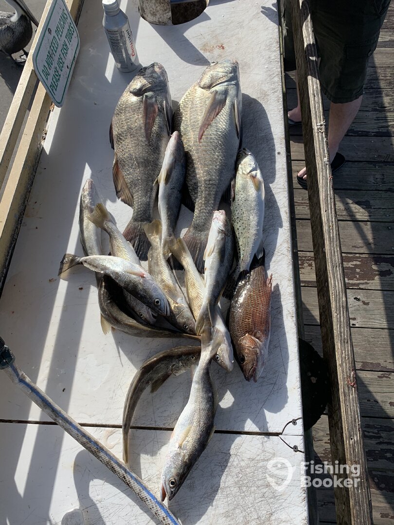 Marco Island Report Photo 0