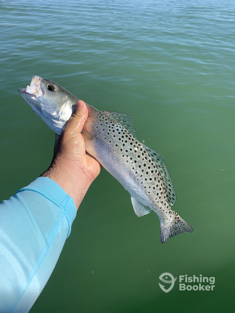 Marco Island Report Photo 0