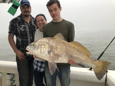 Galveston Report Photo 1