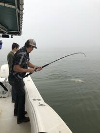 Galveston Report Photo 2