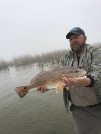 Venice Report Photo 1