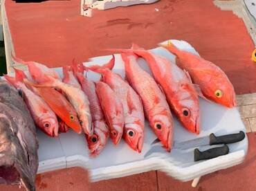 Punta Cana Report Photo 2