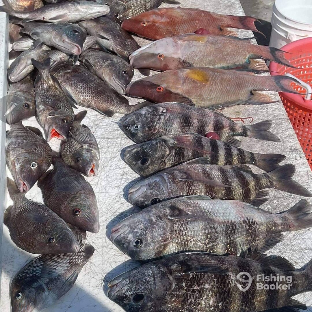 Clearwater Report Photo 0