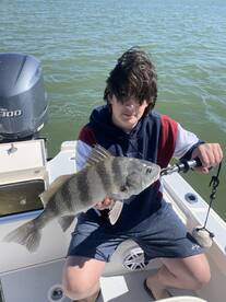 Marco Island Report Photo 2