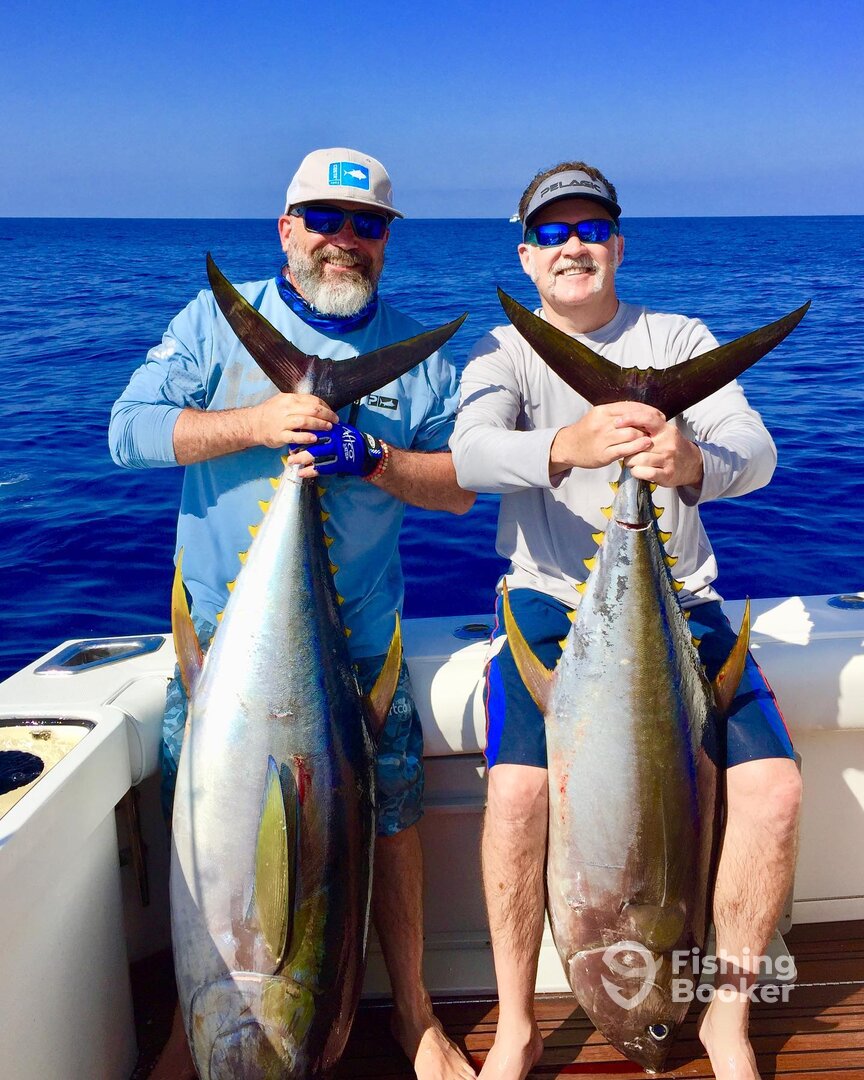 San Jose del Cabo Report Photo 0
