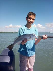 Bonita Springs Report Photo 1