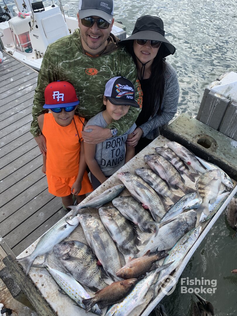 Sarasota Report Photo 0