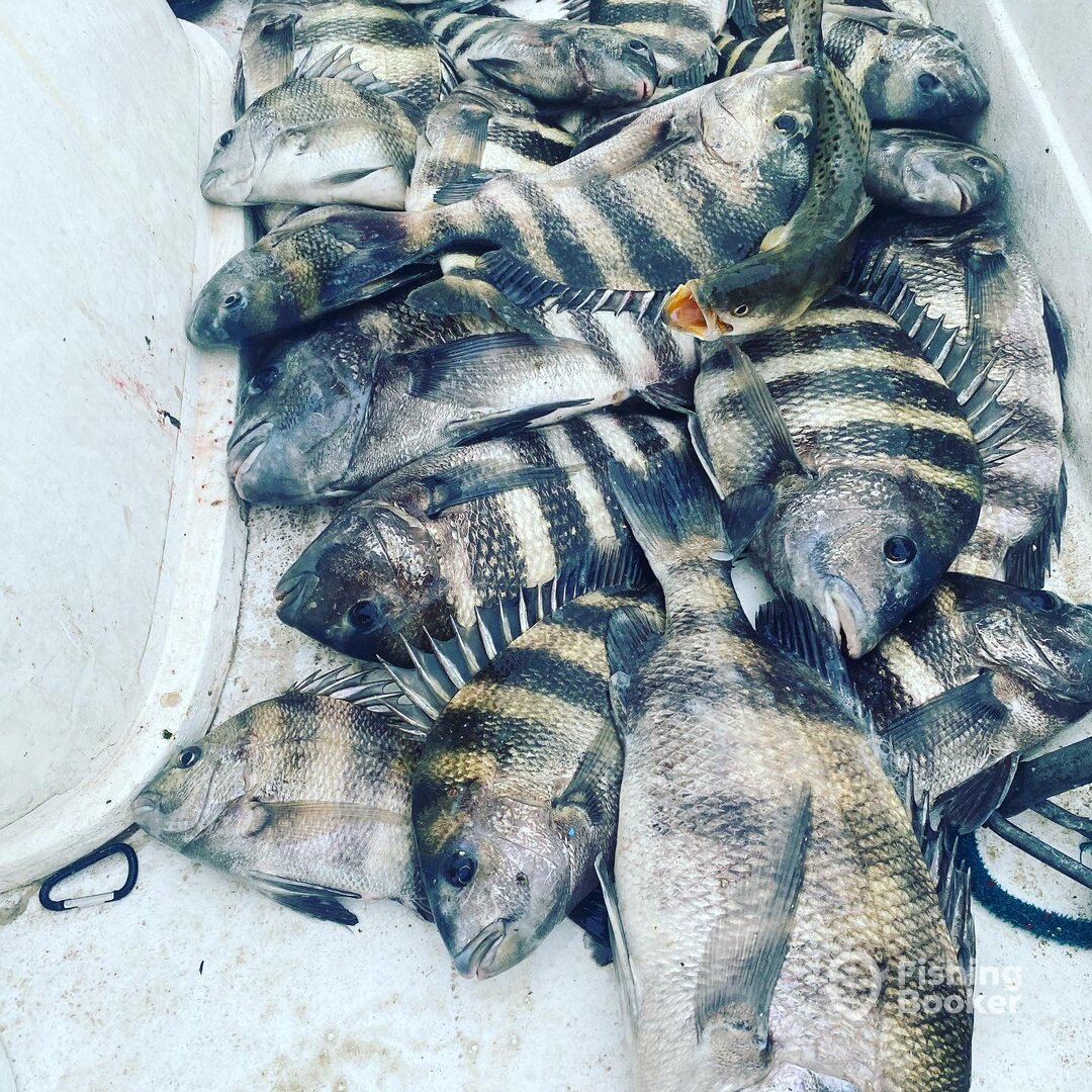Port St. Joe Report Photo 0