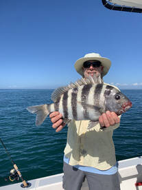 Marco Island Report Photo 2