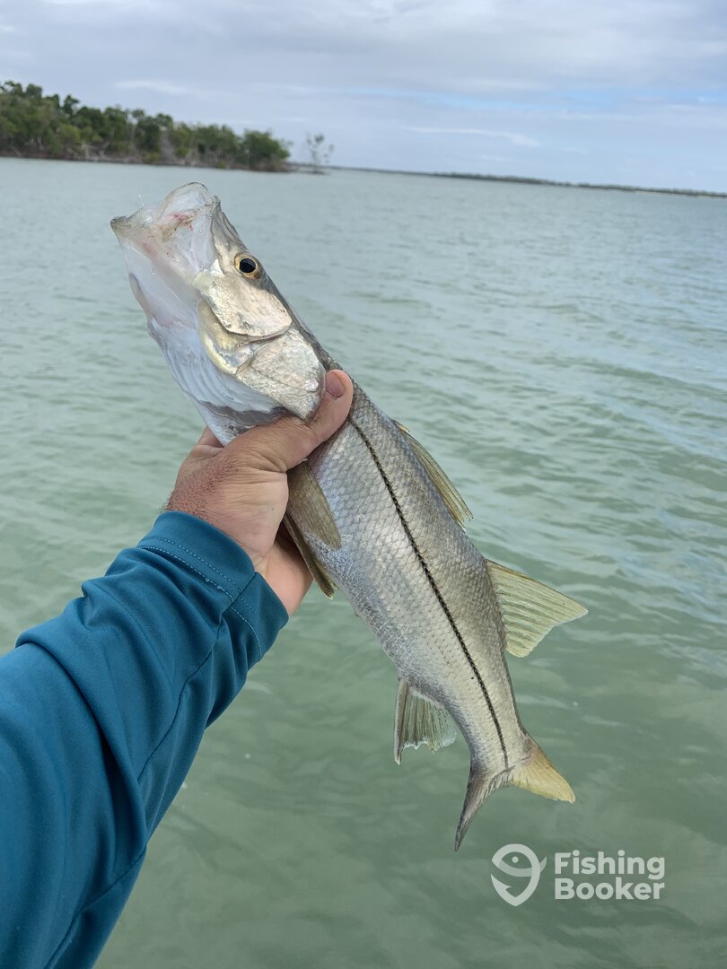 Marco Island Report Photo 0
