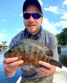 Delray Beach Report Photo 2
