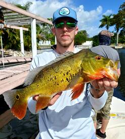 Delray Beach Report Photo 1