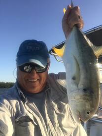 Fort Myers Report Photo 1