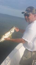 Tampa Report Photo 2