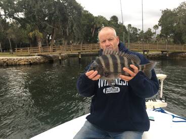 Winter time mixed bag