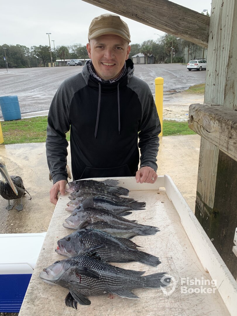 Jacksonville Report Photo 0