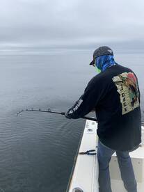 Jacksonville Report Photo 2
