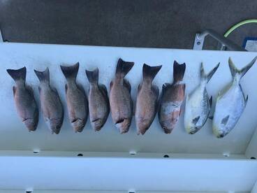 Islamorada Report Photo 2
