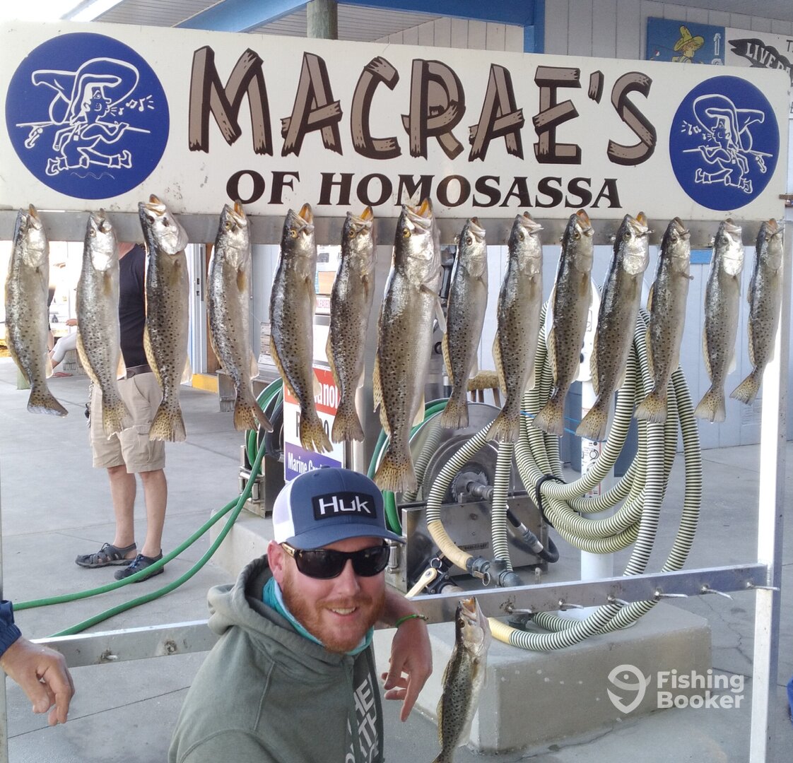 Homosassa Report Photo 0