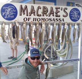 The trout bite is on!