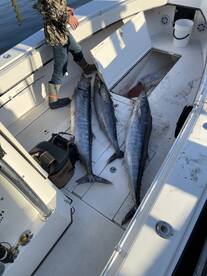 St. Augustine Report Photo 1